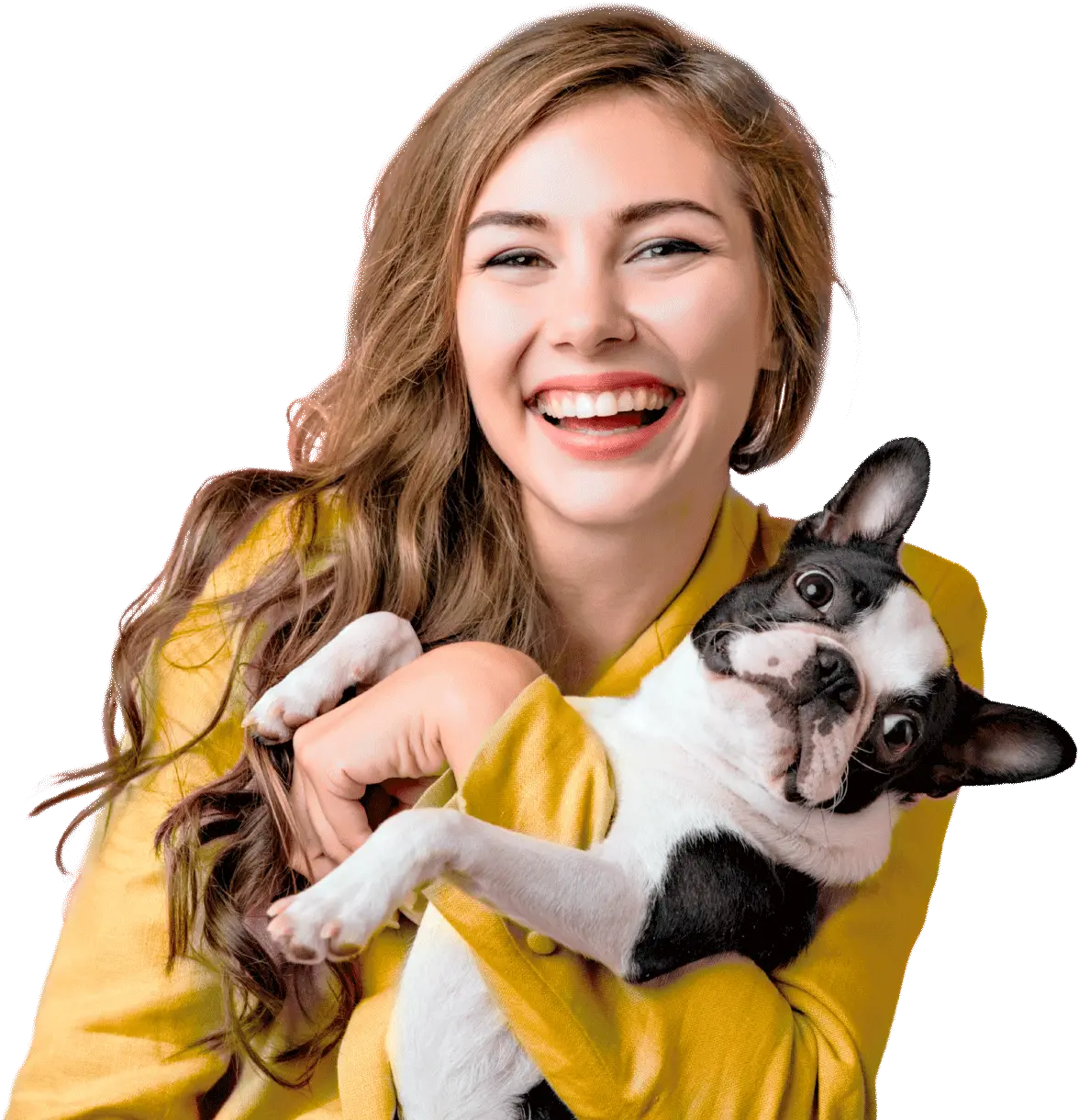 Amigos do Pet Clínica Veterinária