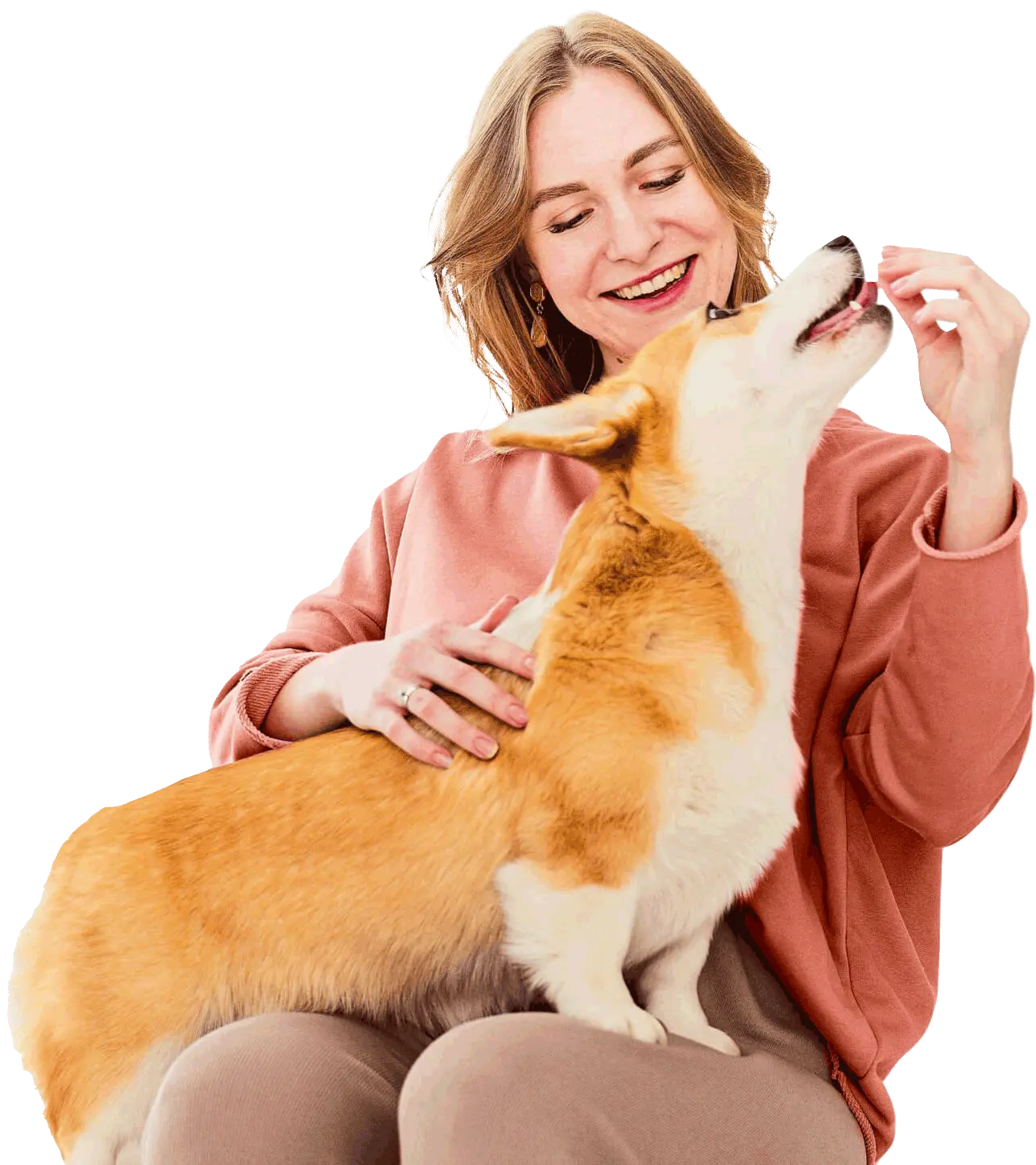 Amigos do Pet Clínica Veterinária